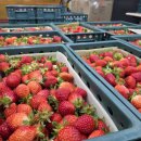 춘향골농협 APC 이미지