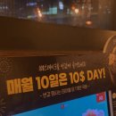 퍼피하우스 인천송도점 | 코지하우스 인천송도점 솔직 후기