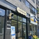 모모애견샵 | 대전 도안동 애견미용 [모모랑] 비숑 미용 잘 하는 곳