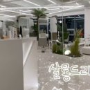 살롱드리썸