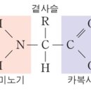 부흥고등학교 이미지
