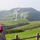 청명목장 이미지