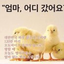 오투치킨