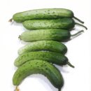 순애농장 이미지