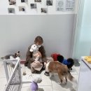 동백동물병원 네이버블로그