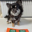 (주)헬로마이펫 이미지