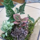 조원중학교 이미지