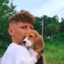 신도안동물병원 이미지