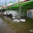 50개천예술제(50 이미지