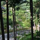 용문산야생화마을 네이버블로그