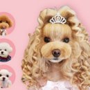 애니살롱 본점 이미지