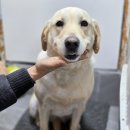 하이스트 독트레이닝센터 이미지