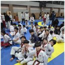 경희대박사태권도장 네이버블로그