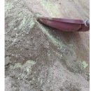 누룩굴 농장 이미지