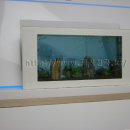 현대수족관 이미지