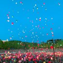 예전에 대구 달서구에서 본 풍등 축제잔아 이미지