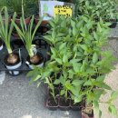 병순농장 이미지