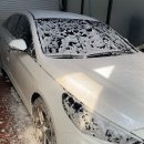 천안세차장백세 이미지