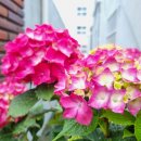 하늘내린공인중개사사무소 이미지