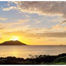 제주마중 협재 이미지