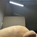 중앙동306 | 안산 중앙동 브라질리언 왁싱 쏠앤왁싱 전혀 아프지 않아