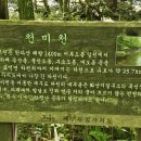 한라산둘레길 사려니숲길 이미지