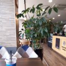 스마트허브커피
