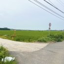 종금주유소 이미지