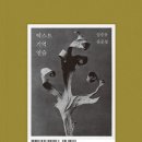 리텍스트