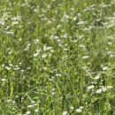 효령로 100 이미지