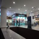 레이킨스약국 이미지