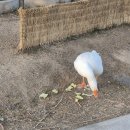 서울상사 복지자동차 정비센타 | 25년 12월 일상