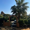 세오니네집 이미지