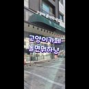 놀면묘하냥 고양이카페 이미지