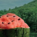 카페레오나 이미지