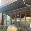 [꿈여우 일상] 강남영어회화 던바이더스 x 직장인영어회화 생존기