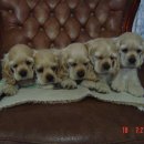 제우스농장 이미지