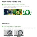 고양화전18 이미지