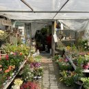 화신식물원 이미지