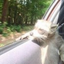 패왕 PC방 이미지