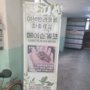 메이슨게코 | [샵방문후기] 파충류 샵 메이슨게코 방문후기