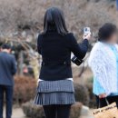 미시 이미지