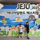제주도 8월 축제 2025 제주애니아일랜드 페스티벌 후기