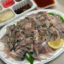 아리회직판장 - 수원시 영통구 광교중앙로 236 | 동탄회포장 아리회직판장 제철 전어회 맛있는 곳 내돈내산 추천 후기