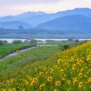 침실습지 화장실 이미지