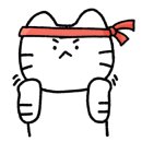 백호 합기도 이미지