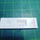 음성태권도장 이미지