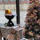 광주역 | 경기광주역 숙성돼지고기 맛집 압도탄 후기