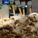 호텔 하라스 이미지