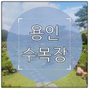 덕평목장 | 용인 수목장 위치별 특징과 가족형 자리 선택 시 고려사항 총정리